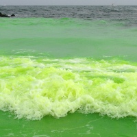 ALLENHURST BEACH CLUB'S 'SANDYE': THE TRADITION OF THE GREEN OCEAN