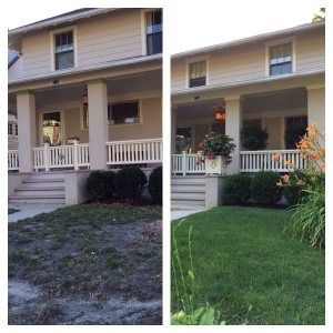 Before and six weeks after TruGreen professionals began managing my lawn.